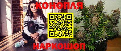 шишки Нарткала