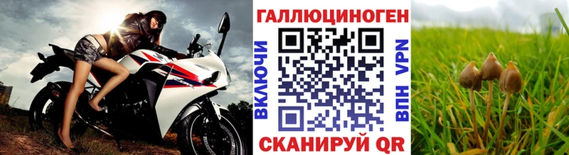 Галлюциногенные грибы прущие грибы Советск