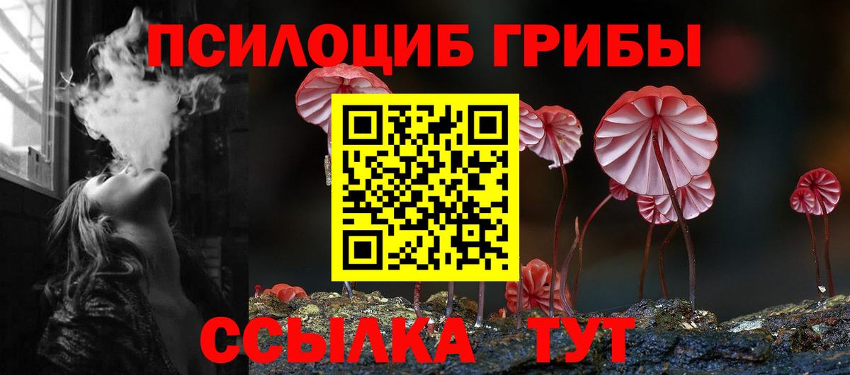 Галлюциногенные грибы прущие грибы Советск